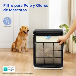 Filtro mascota